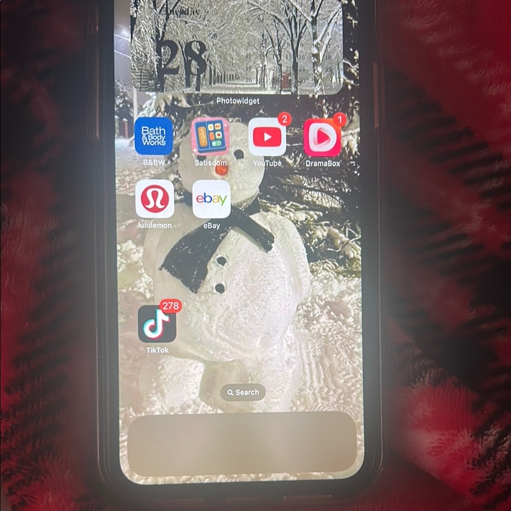 iPhone 11 with TikTok!